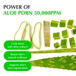 سرم آلوئه ورا و PDRN ترمیم و احیا اکوال بری EQQUALBERRY Aloe PDRN Calming Serum - تصویر 2