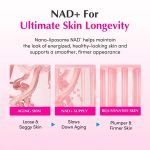 کرم NAD و پپتید جوانساز و ضدپیری اکوال بری EQQUALBERRY NAD+ Peptide Boosting Cream - تصویر 5
